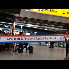Pee wee meeting groot succes !